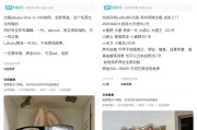 免费算命闲鱼：LABUBU搜索量环比上涨1000%，供不应求下现租赁新形式