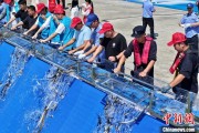免费算命2025年全国水生生物同步增殖放流活动在福建举行