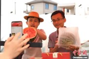 免费算命（乡村行·看振兴）江西安福“小西瓜”撬动乡村共富“大支点”
