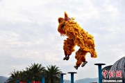 免费算命（文化中国行）壮乡狮舞闯南洋：脚踏“云桩” 饮誉海内外