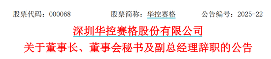 华(🥫)控赛格董事长、董秘、副总(🏄)经理三高管同日辞职